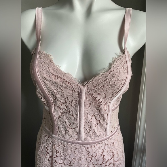 Express Lace Dress - Picture 4 of 6